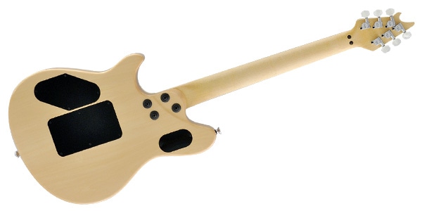 EVH / 510-7920-858画像3