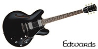 EDWARDS ESA160LTS Black