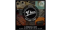 F BASS / 5STR