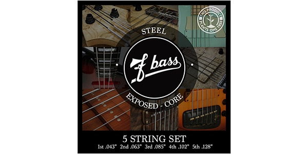 F BASS ( エフベース ) / F Bass 5 String Set