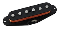 Freedom Custom Guitar / ST Vintage