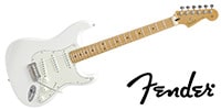 FENDER Player Stratcaster MN PWT