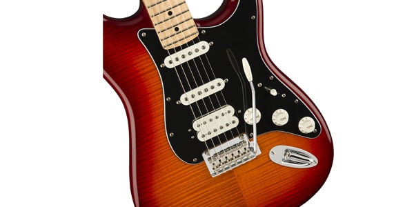 FENDER ( フェンダー ) Player Stratocaster HSS Plus Top MN ACB 送料