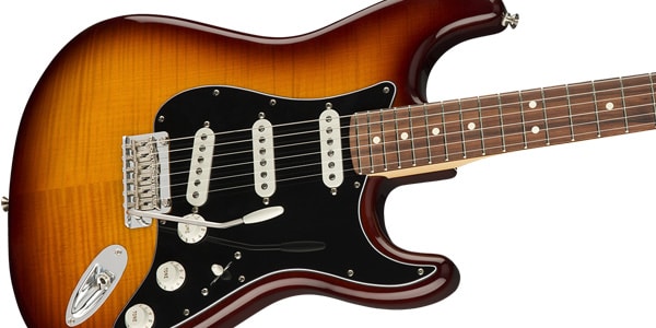 FENDER / Player Stratocaster Plus Top PF TBS画像4