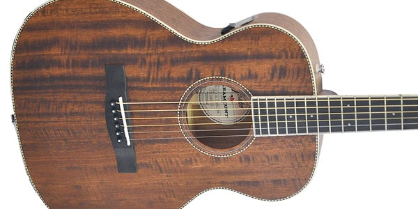 FENDER / PM-TE Travel All-Mahogany Natural画像2