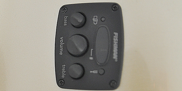 FENDER ( フェンダー ) Newporter Player Champagne エレアコ