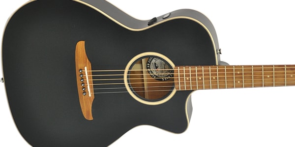 FENDER / Newporter Special Matte Black画像2