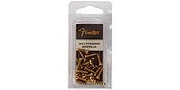 FENDER Pickguard‚ Control Plate Mounting Screws (24)