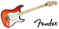 FENDER Standard Stratocaster HSS Plus Top With Locking Tremolo