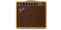 FENDER PRINCETON LTD CANNABIS 100V JP