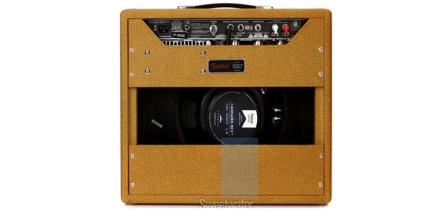 FENDER ( フェンダー )  / PRINCETON LTD CANNABIS 100V JP 画像3