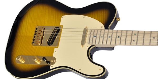 FENDER ( フェンダー ) Richie Kotzen Tele Brown Sunburst 送料 FENDER ( フェンダー ) Richie Kotzen Tele Brown Sunburst 送料