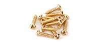 FENDER / PURE VINTAGE TUNING MACHINE MOUNTING SCREWS GOLD (12)