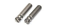 FENDER BRIDGE PIVOT SCREWS (2)