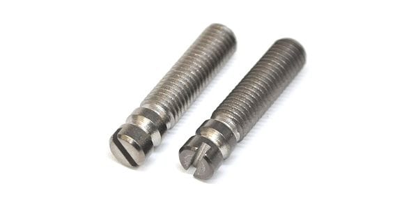 FENDER/BRIDGE PIVOT SCREWS (2)