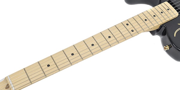 FENDER ( フェンダー )  / James Burton Telecaster Blue Paisley Flames/2画像4