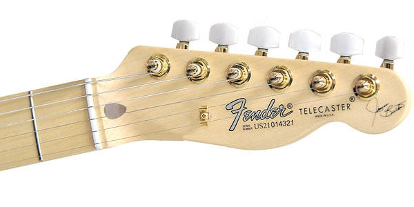 FENDER ( フェンダー )  / James Burton Telecaster Blue Paisley Flames/2画像6
