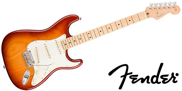 サウンドハウス：FENDER ( フェンダー ) American Professional Stratocaster MN Sienna Sunburst