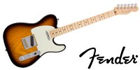 FENDER American Professional Telecaster Maple 2TS