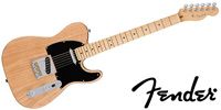 FENDER American Professional Telecaster Maple Natural