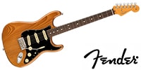 FENDER American Professional II Stratocaster, Rosewood, Roasted Pin