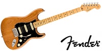 FENDER American Professional II Stratocaster HSS, Maple, Roasted Pi