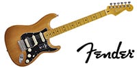 FENDER / American Professional II Stratocaster HSS, Maple, Roasted Pi
