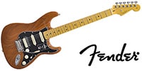 FENDER / American Professional II Stratocaster HSS, Maple, Roasted Pi