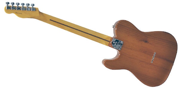 FENDER ( フェンダー )  / American Professional II Telecaster, Maple Roasted Pine/2画像6
