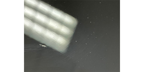 FENDER ( フェンダー ) / American Pro Classic Strat RW FB アウトレット品 画像4