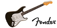FENDER / American Ultra II Stratocaster, Ebony FB Texas Tea