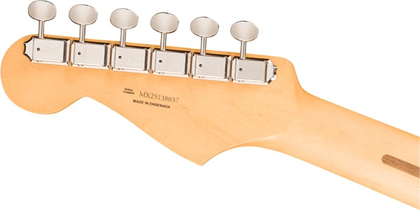 FENDER ( フェンダー )  / Player II Strat R FB Cactus Gray画像5