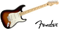 FENDER Player Stratcaster MN 3TS