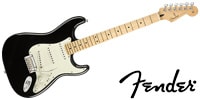 FENDER Player Stratcaster MN BLK