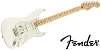 FENDER Player Stratcaster HSS MN PWT