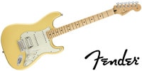 FENDER Player Stratocaster HSS Maple BCR