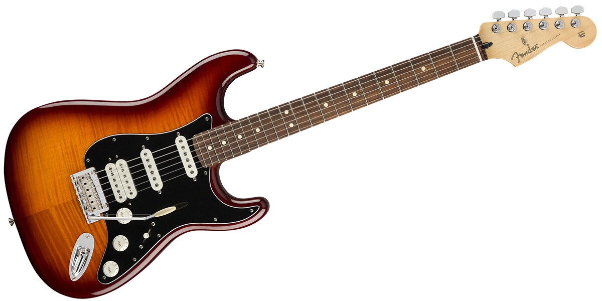 FENDER/Player Stratcaster HSS Plus Top PF TBS