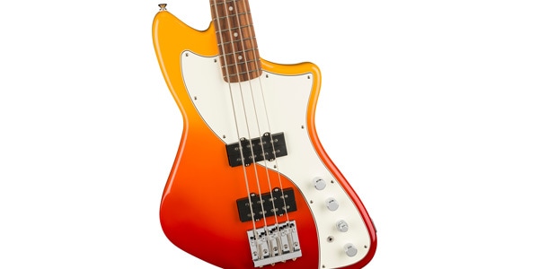 FENDER / 014-7393-387画像3