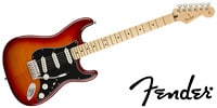 FENDER Player Stratcaster Plus Top MN ACB