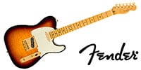 FENDER / 75th Anniv American Pro Custom Tele M FB 2-Color Sunburst