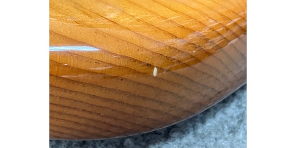 FENDER ( フェンダー )  / American Professional II Jazz Bass V アウトレット品 画像4