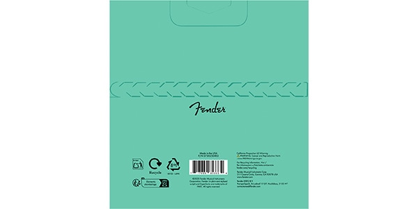 FENDER / 073-0250-403画像2