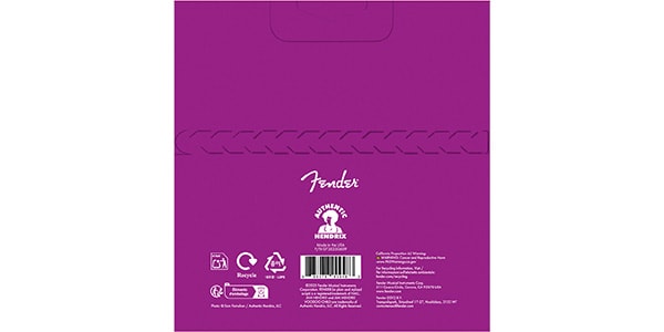 FENDER / 073-0250-609画像2