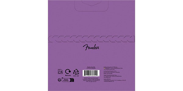 FENDER / 073-7250-403画像2