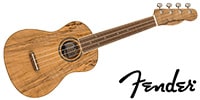 FENDER / ZUMA CONCERT UKE SPALTED WN