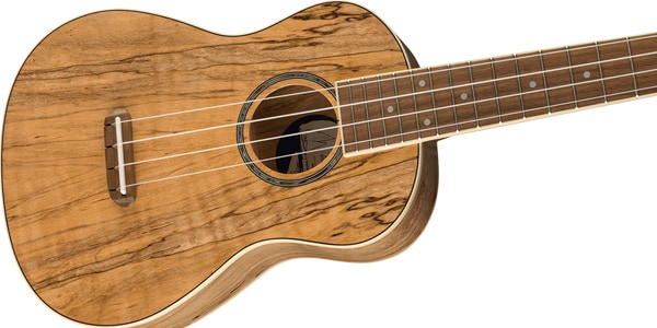 FENDER ( フェンダー )  / ZUMA CONCERT UKE SPALTED WN画像2