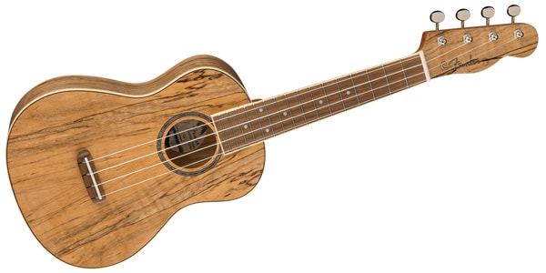 FENDER ( フェンダー ) ZUMA CONCERT UKE SPALTED WN 送料無料