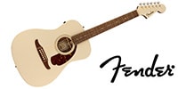 FENDER / Malibu Player Tortoiseshell PG Olympic White