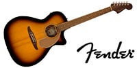 FENDER / Newporter Player Walnut FB Gold Pickguard Sunburst