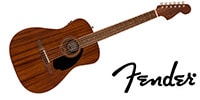 FENDER / Malibu Special Pau Ferro FB Black Pickguard Natural